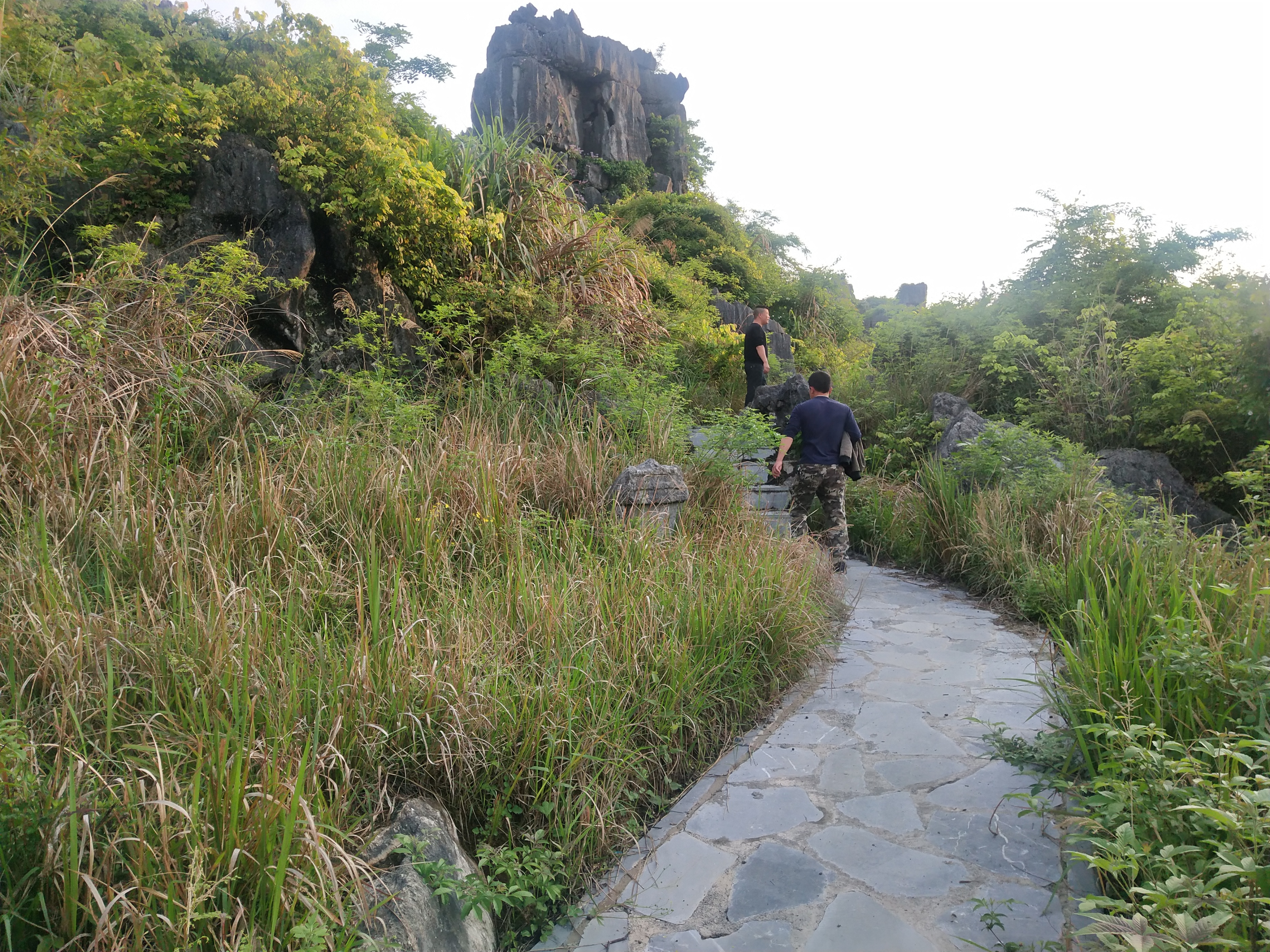 2020灌阳文市石林要门票吗,灌阳文市石林景区门票是多少