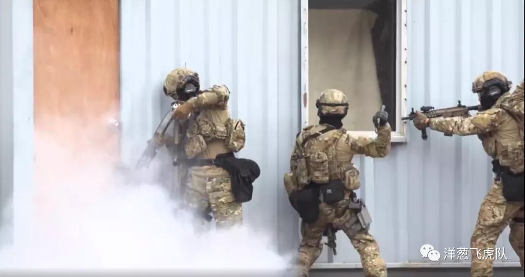 虎年说虎科普视频,虎年说虎运用了哪些说明方法