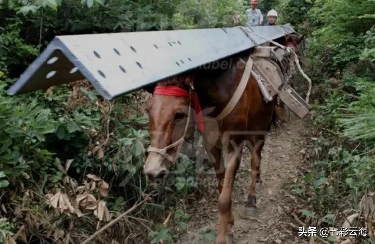攀登武当山的马邦
