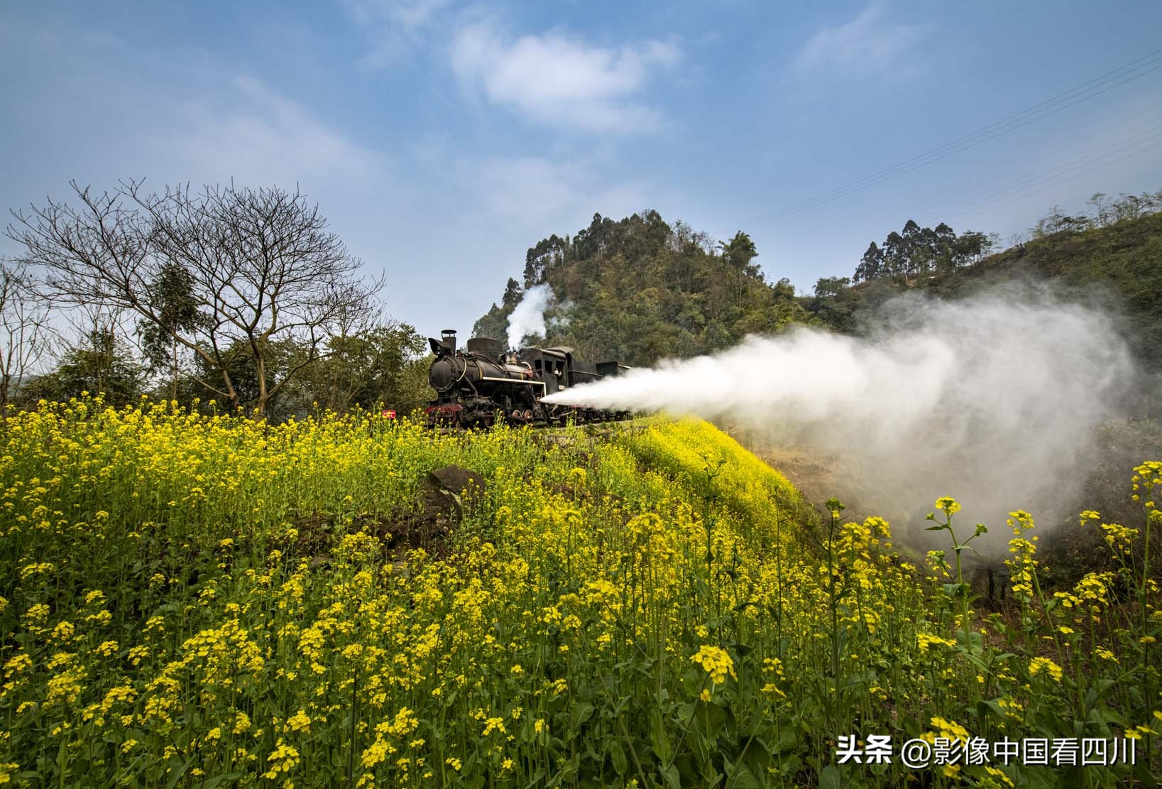 刘国兴的2022年:冬去春来,愿岁月静好(上集)