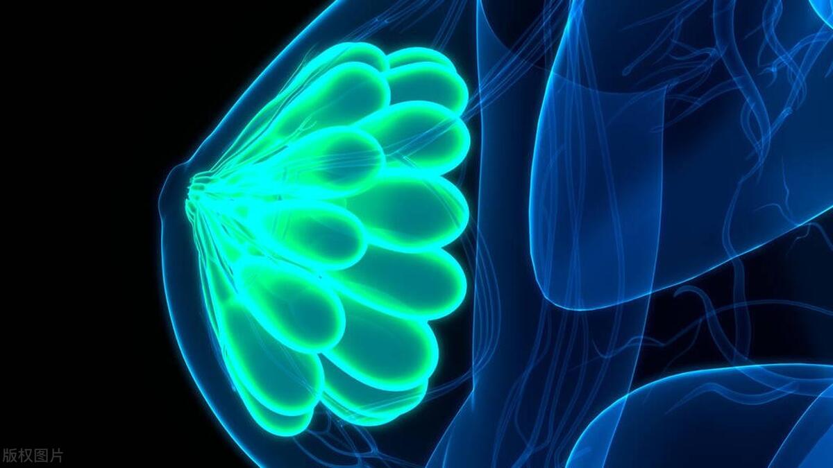 乳腺纤维瘤是什么原因引起,怎么预防乳腺纤维瘤复发