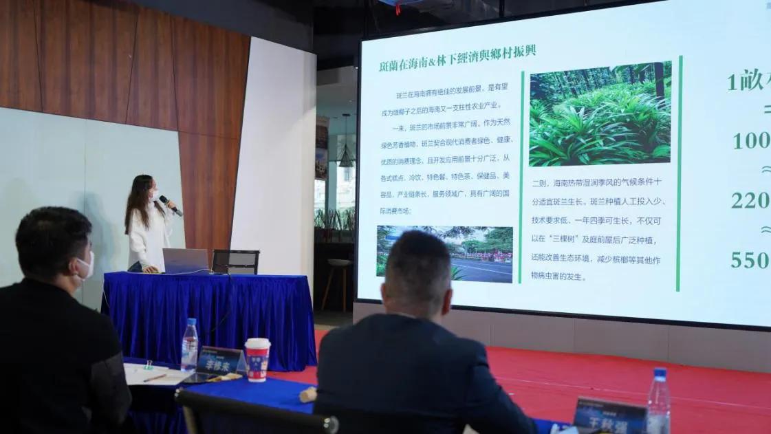 海南青年农产品品牌,海南农产品创展