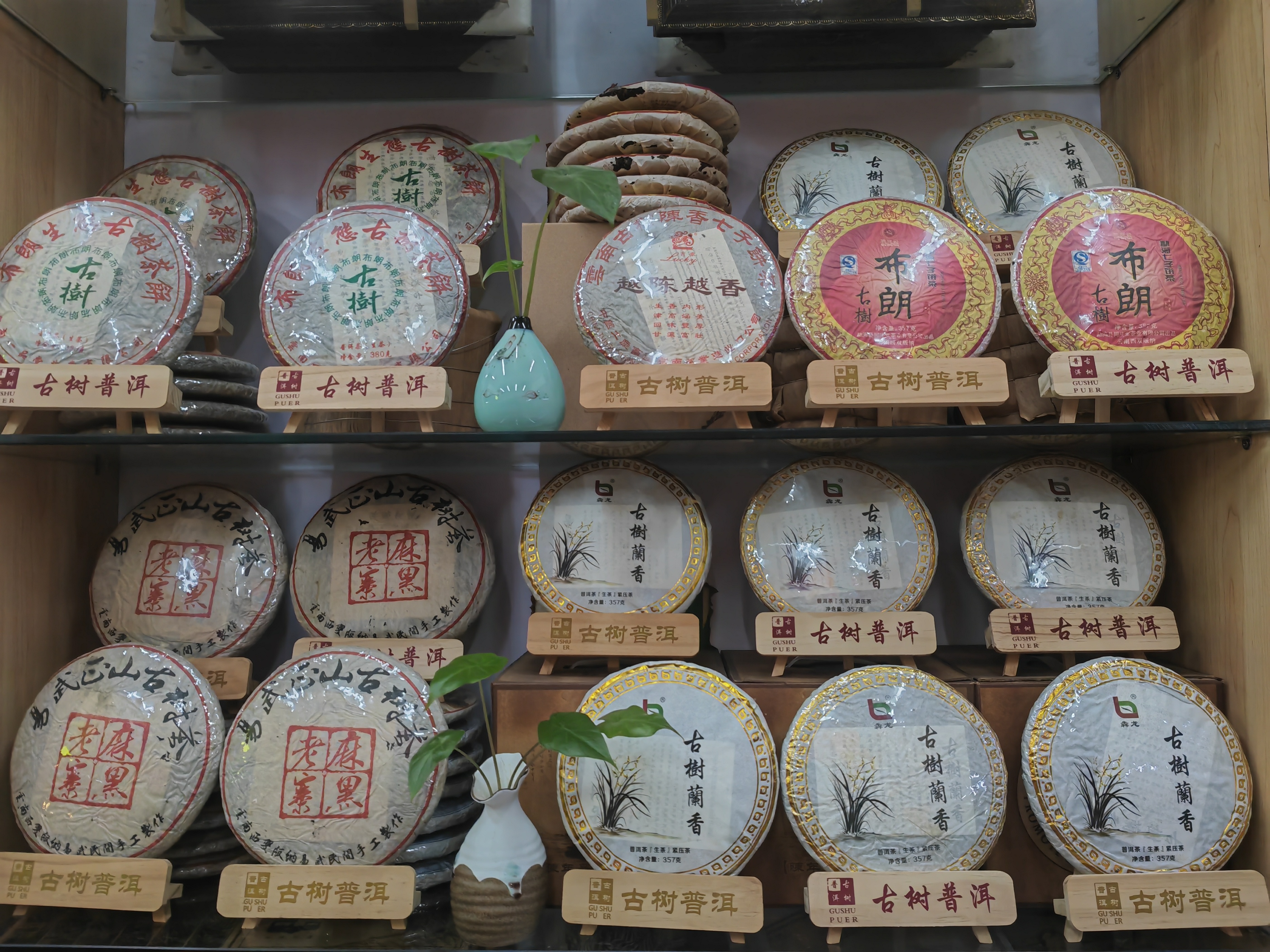 深爱榜读书会联合创始人冯青英走访深圳前海茶城.满园香