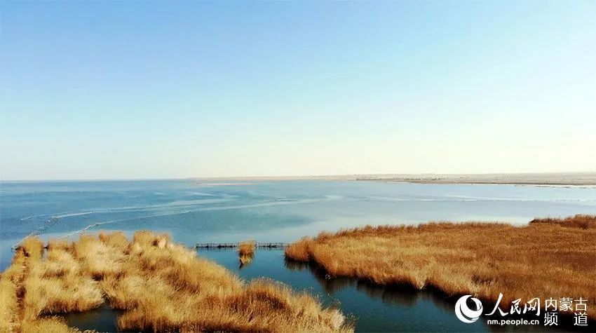 内蒙古冬季打卡景点,内蒙古美丽的草原网红打卡点