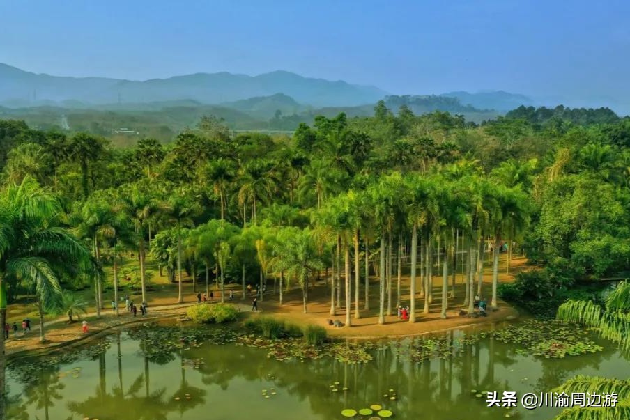 云南最适合旅游的城市排名前十,云南旅游值得去的城市排名