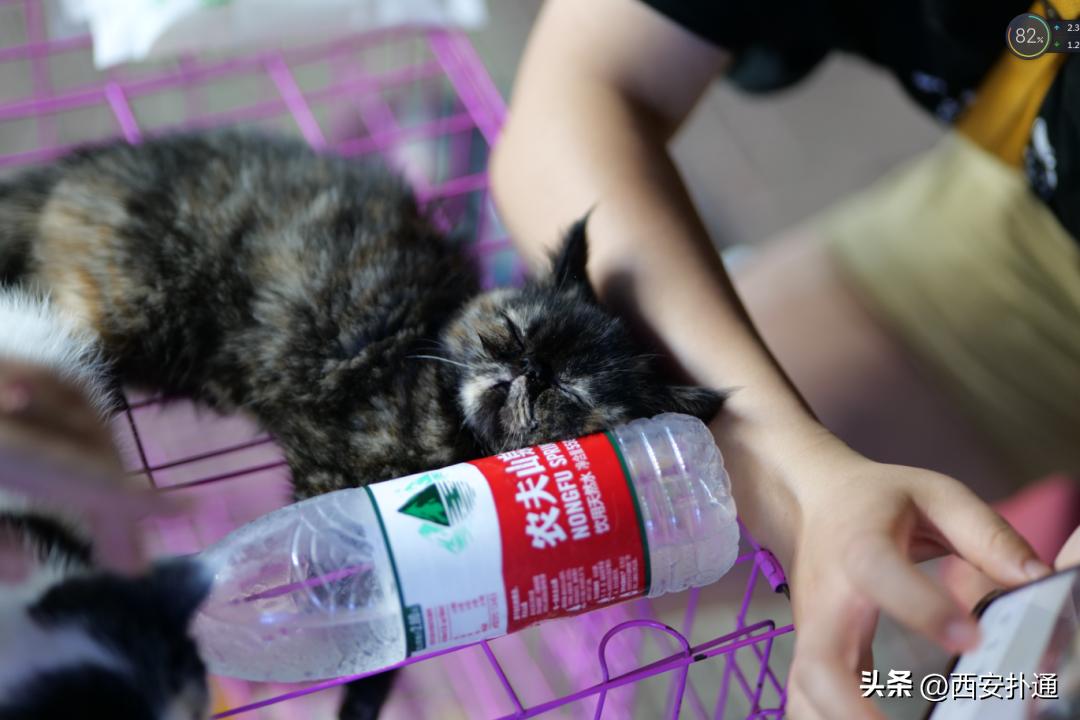 高新大都荟摆摊夜市在哪个位置,高新大都荟摆摊