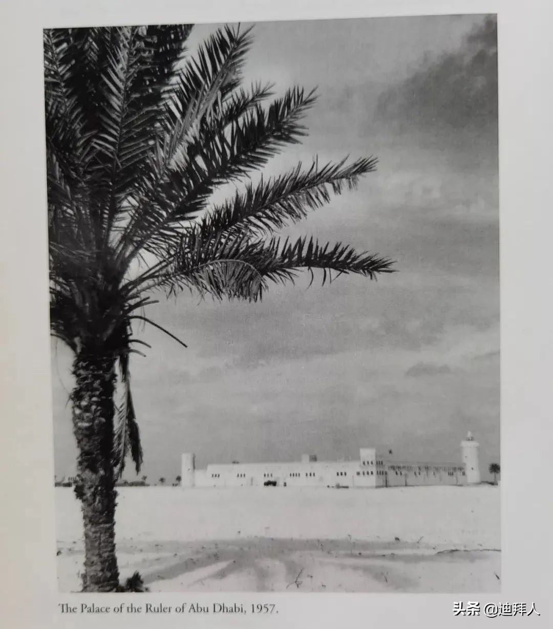 阿联酋历任总统,阿联酋总统历史