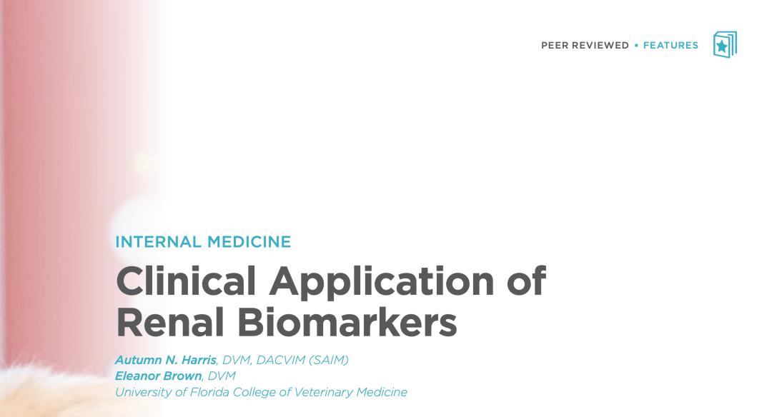 肾脏的体表标志物,肾脏早期损伤标志物的研究进展
