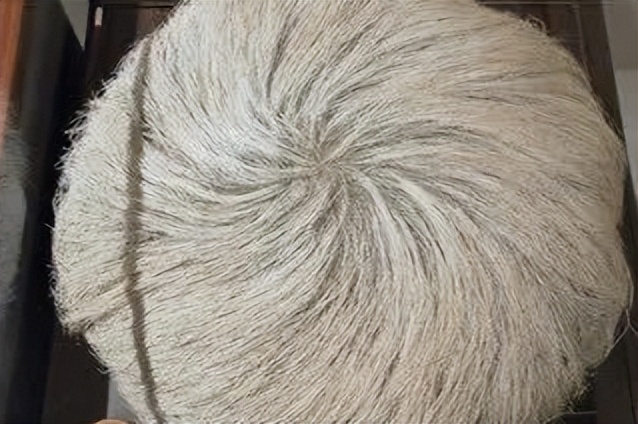 奇石长满白发的石头,1997年小伙花150元买石头专家鉴定