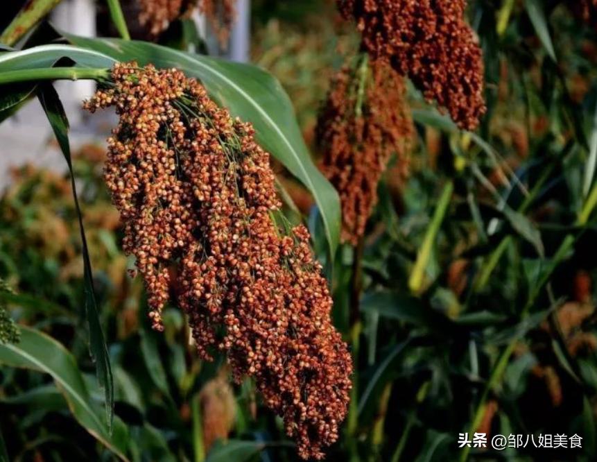 为什么网购白酒比线下还贵,为什么网购酒类这么便宜