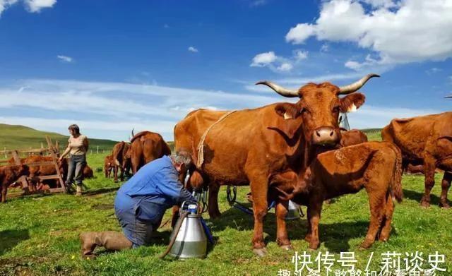 100多名妇女儿童被撕咬身亡,现场惨烈,多年后发现超自然物种