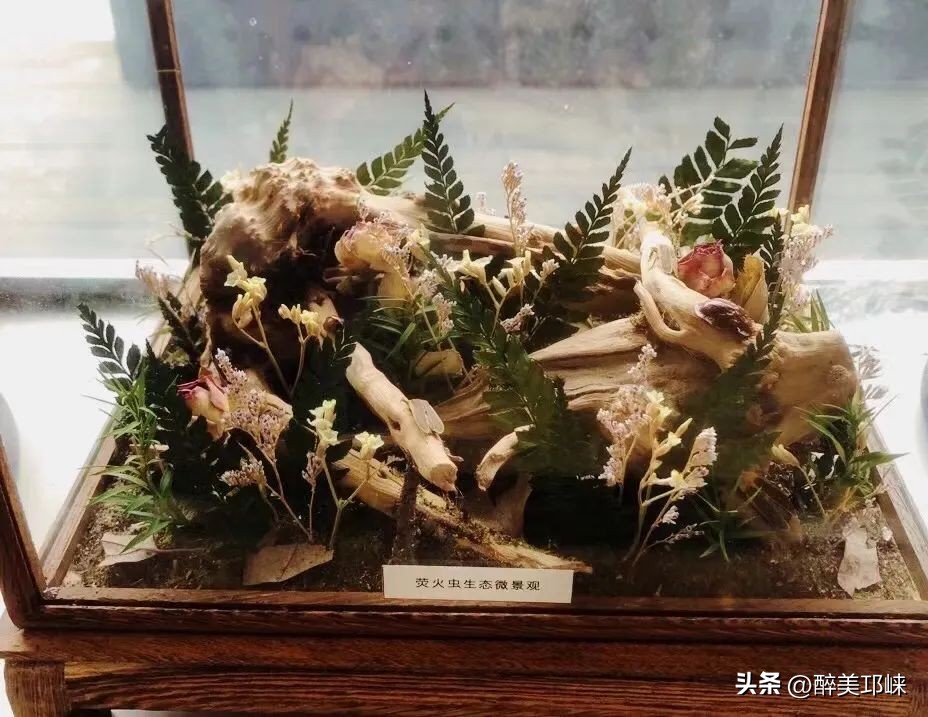 邛崃市级以上个人荣誉有哪些,邛崃市级以上荣誉称号有哪些