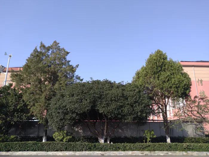 画与景,幼儿长卷画景