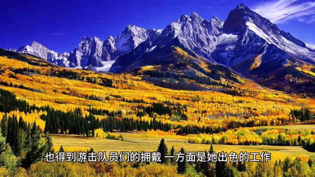 《白鹿原》第28集,有声小说白鹿原第4-10集