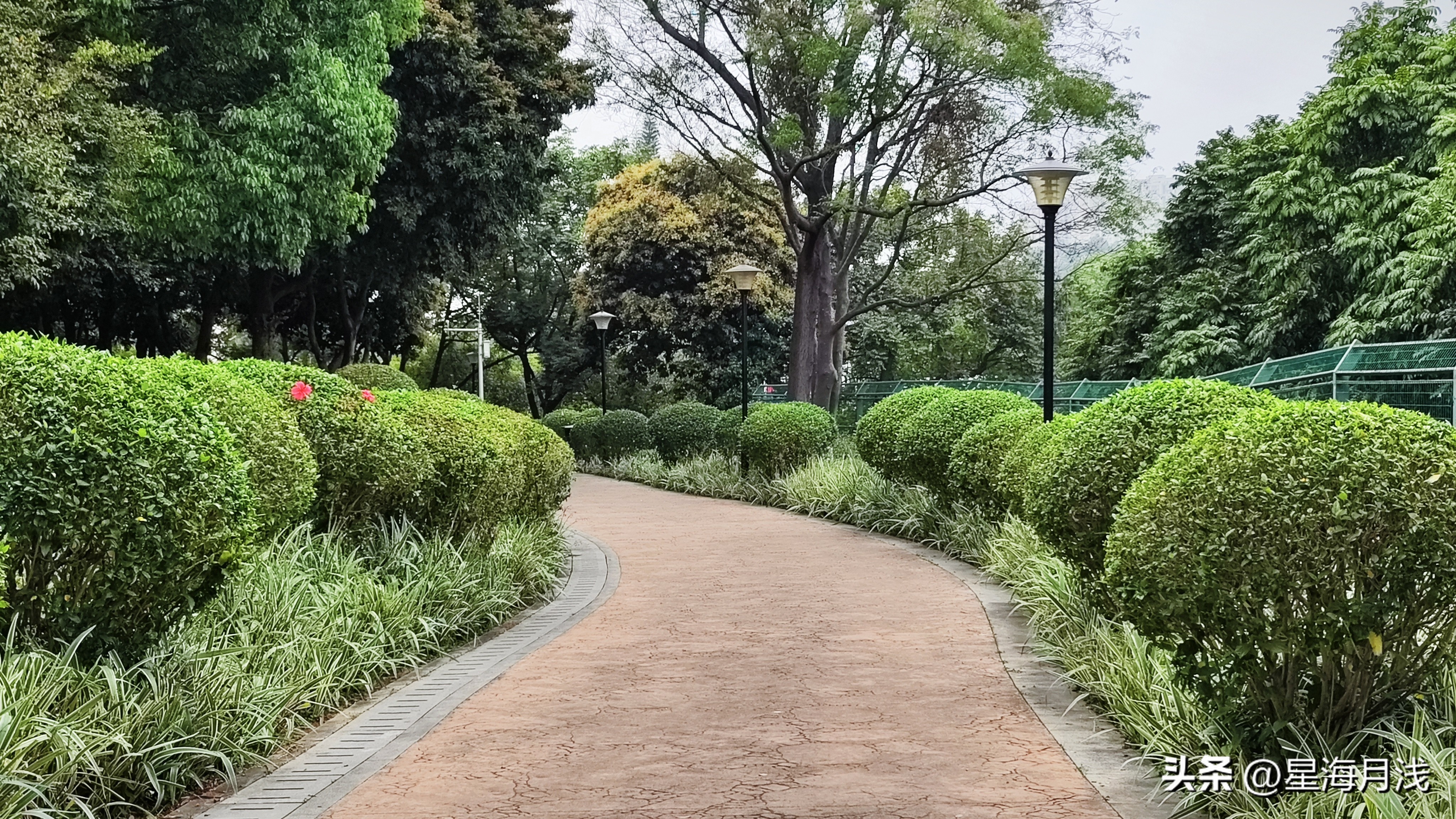 带你玩遍广州所有的儿童公园,广州免费公园遛娃好去处