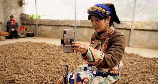 四川姑娘放弃高薪坚守大山,四川女孩嫁藏族小伙放弃百万年薪