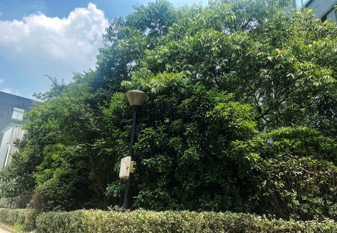 电子厂工作环境一流,电子厂的工作环境都是什么样的