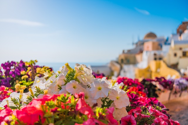 形容女人眼睛好看的句子,夸赞自己眼睛漂亮的句子