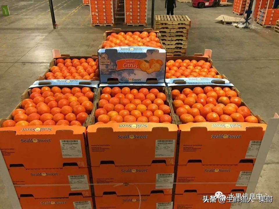 全国最大的果蔬批发市场,全球最大水果批发市场