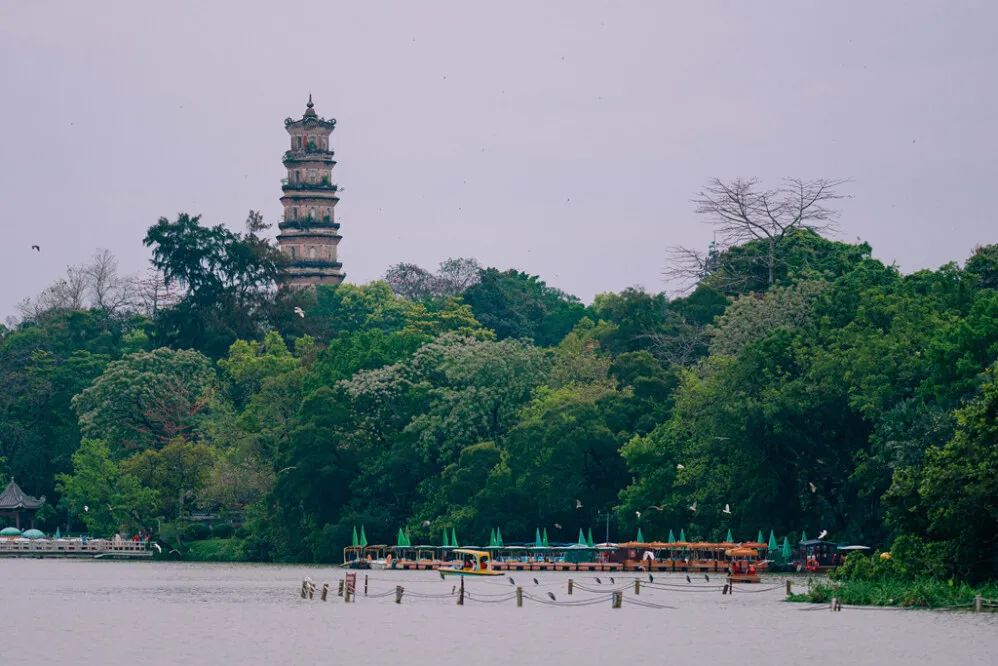 惠州带娃踏青好去处,惠州清明免费踏青好去处
