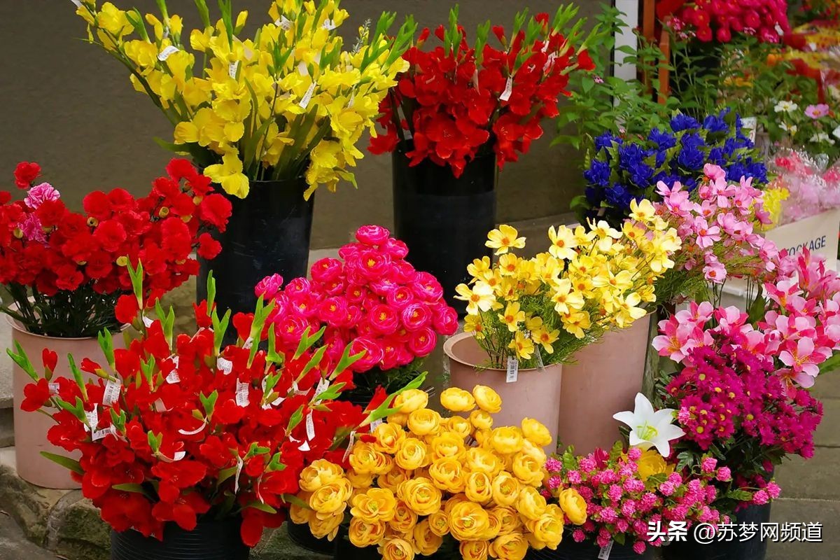 别府居酒屋,别府御原堂