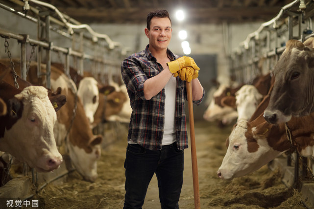 新型养牛场的建设标准有哪些,养牛场怎么建设才合理