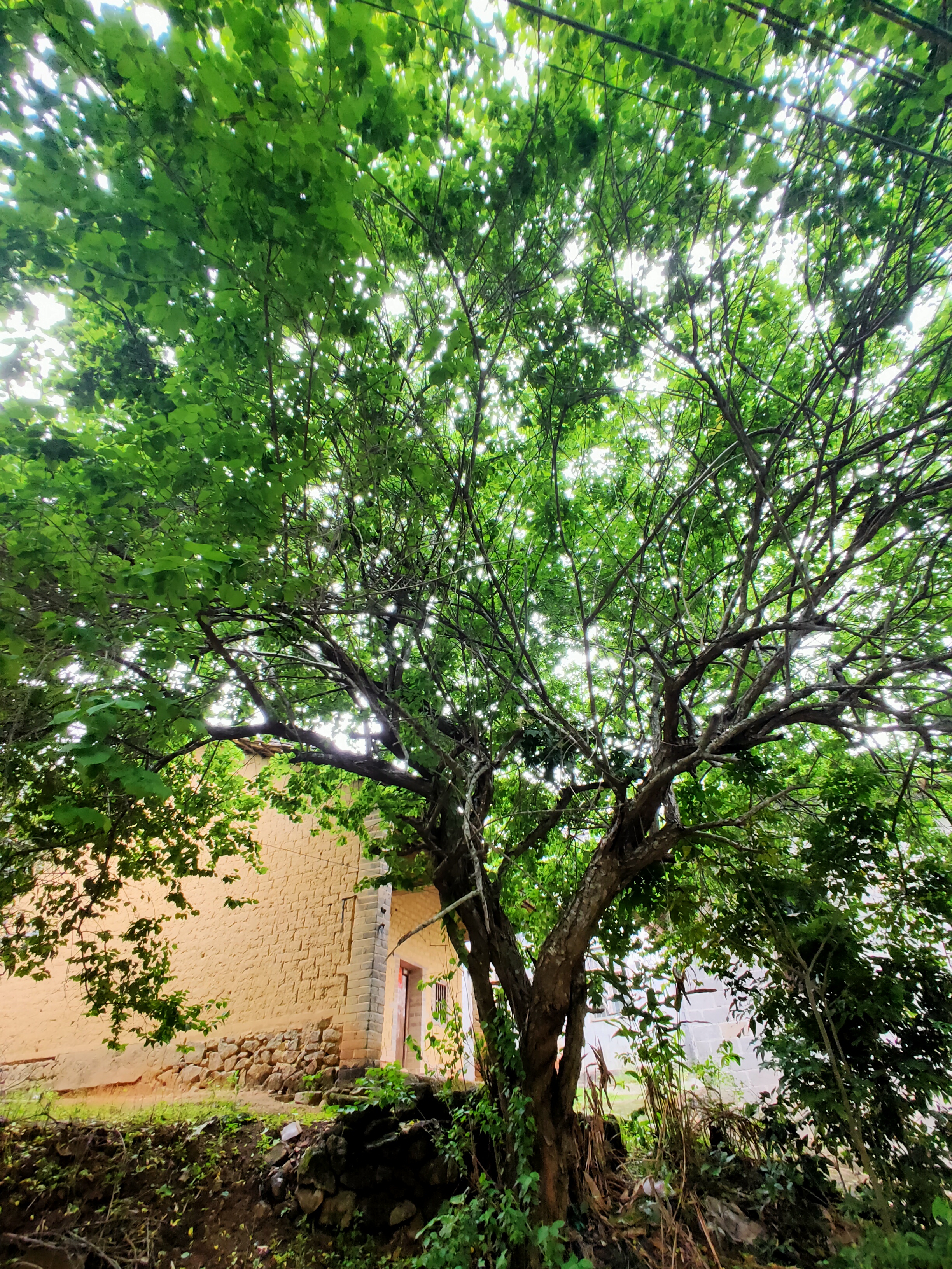 回家的相聚,相见欢同乡聚会