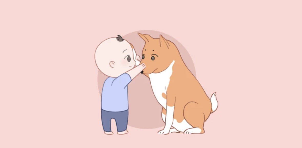 适合宝宝养的小宠物有哪些,适合在家里养的小宠物都有哪些