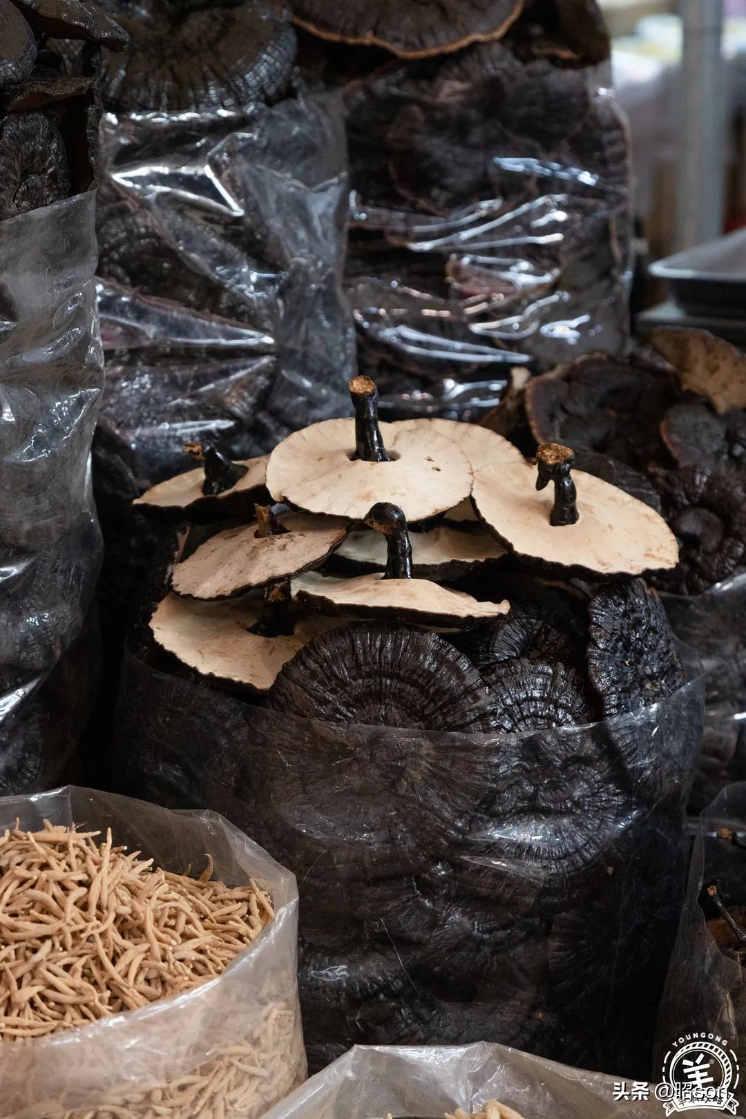 广州清平市场哪家好,清平市场攻略