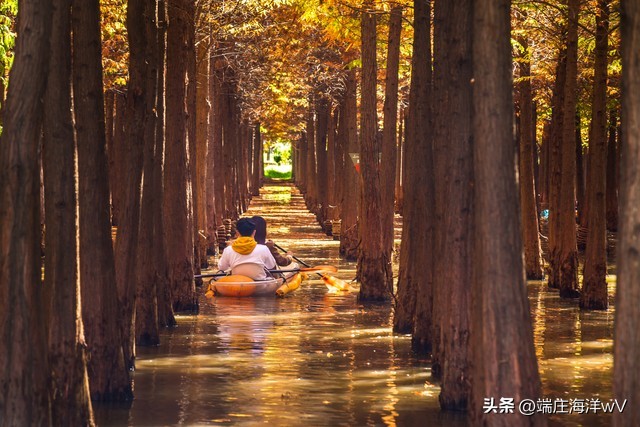 云南周边旅游景点推荐自驾游,2022云南旅游景点攻略自由行