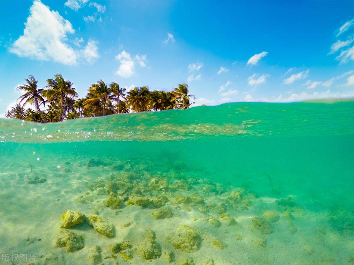 马尔代夫的中央格兰德岛点评,马尔代夫中央格兰德岛浮潜