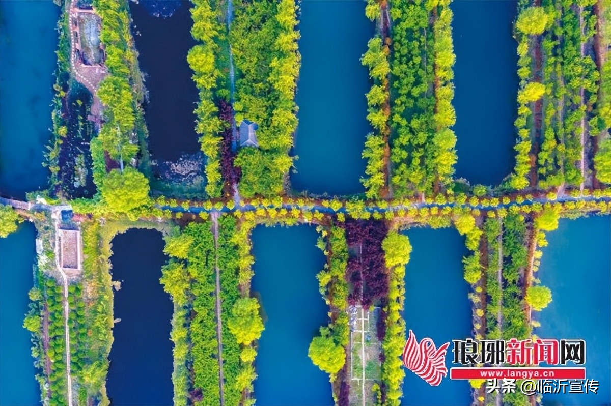 2022年临沂市拿下多个全国、全省第一！十大亮点凸显发展新活力