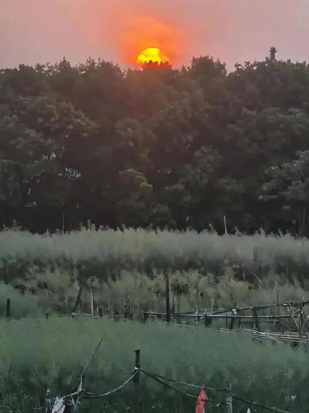 创业商业计划书,创业计划书格式大全