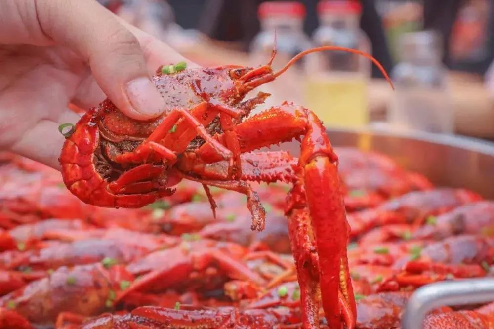 陕南旅游必备美食攻略,五一游吃什么食物