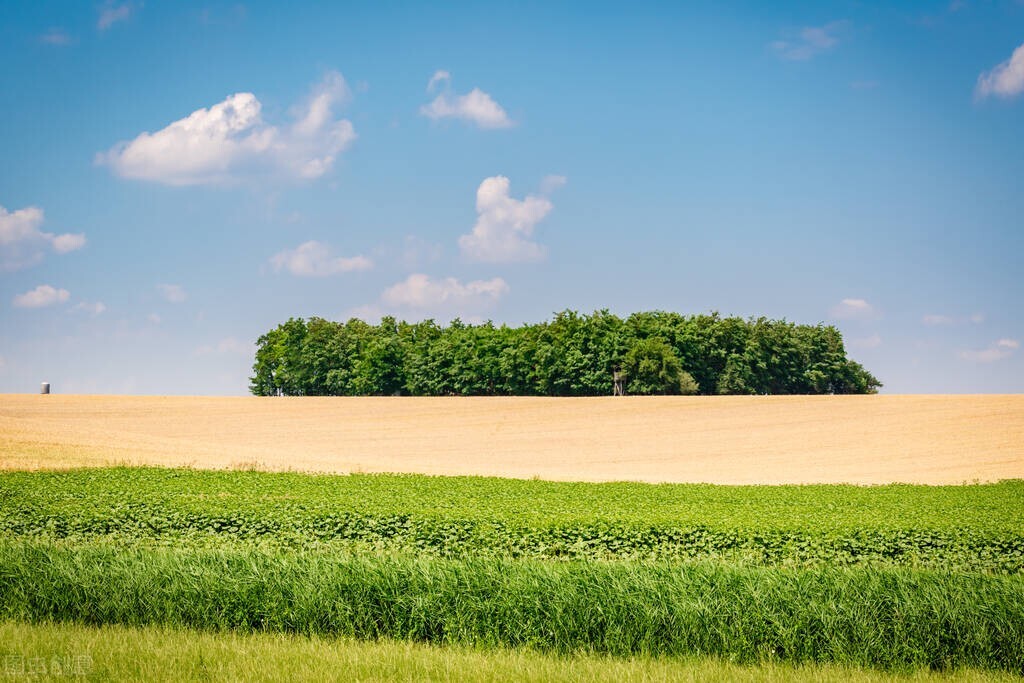 今日竞彩足球重注四串一实单推荐,竞彩今日4串1推荐最新