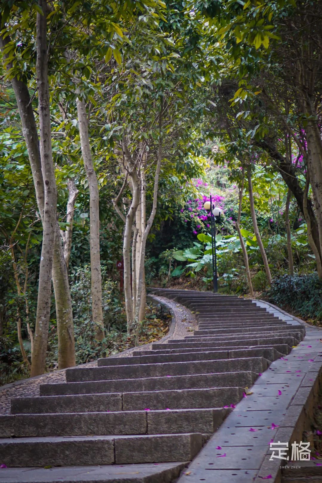 深圳地铁可以直接去的免费景点,深圳免费地铁直达景点12号线