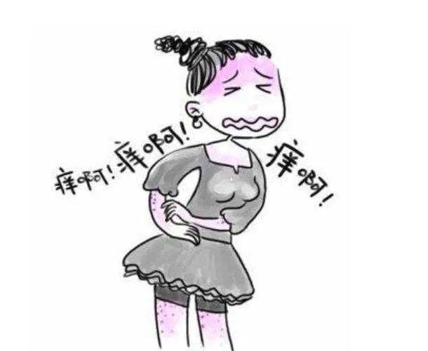 身上腰部起红疙瘩越挠越痒还扩散,后背长红疙瘩是怎么回事越挠越痒