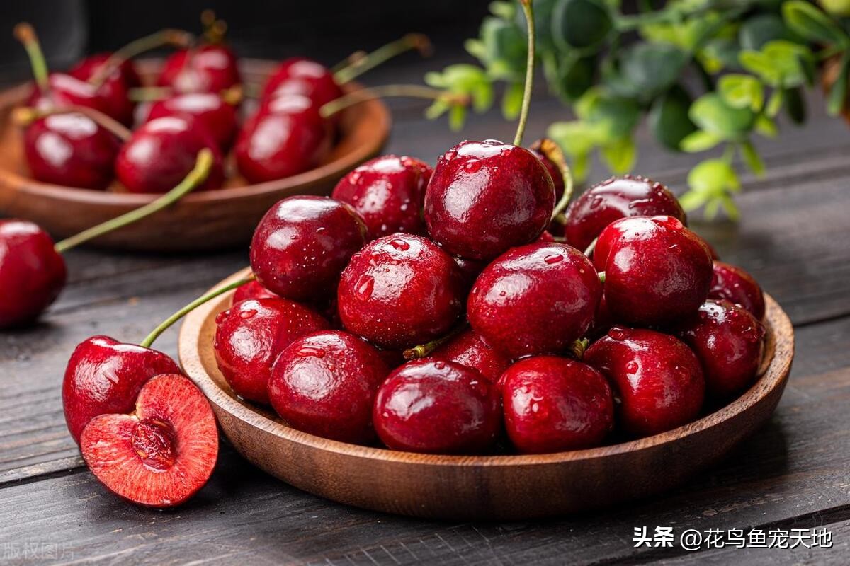 国内大樱桃和车厘子哪个好吃,车厘子和大樱桃哪个好吃些