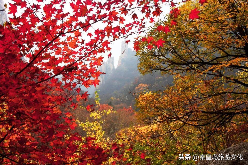 上帝打翻了秋天的调色盘,上帝打翻了调色盘诗句