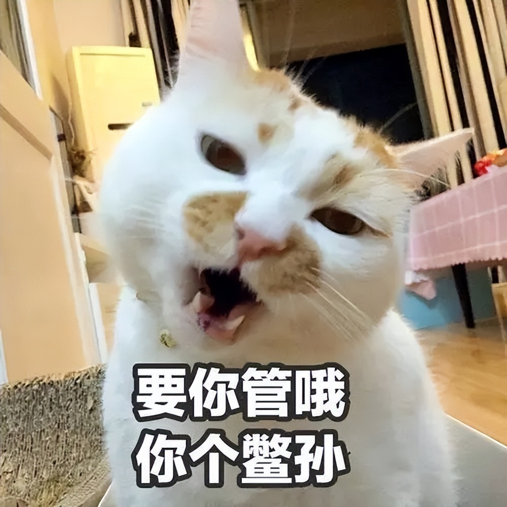 谷爱凌被曝与男子接吻,谷爱凌男朋友接吻视频