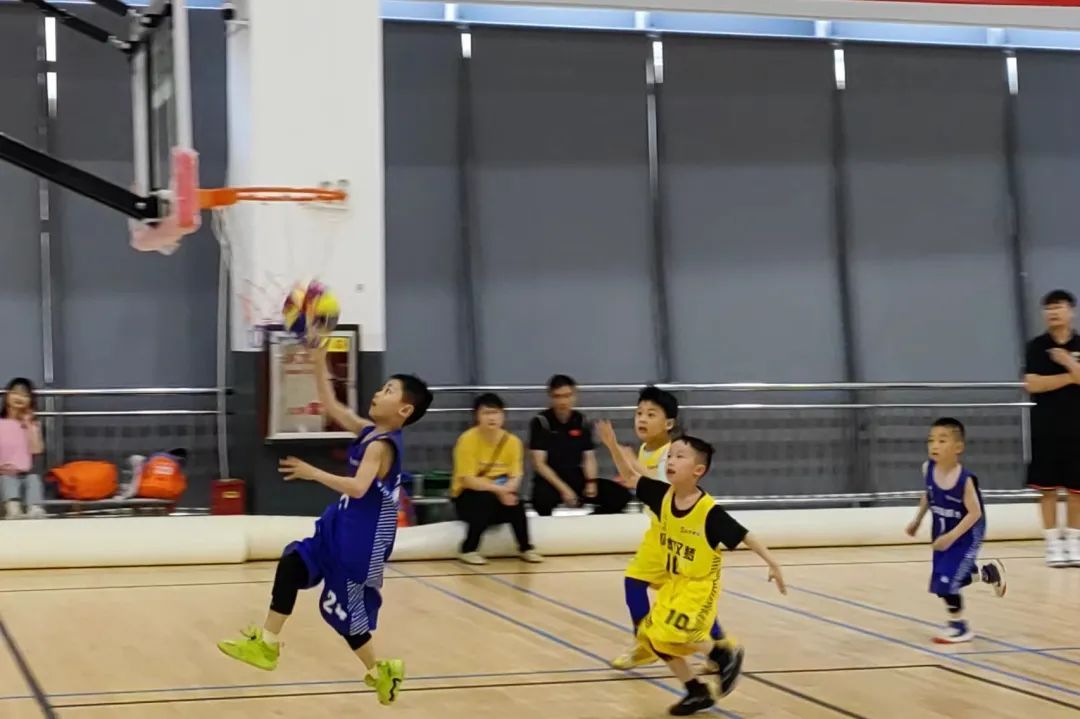 球星齐助阵，球场活力燃丨NYBO春季赛赛场掠影