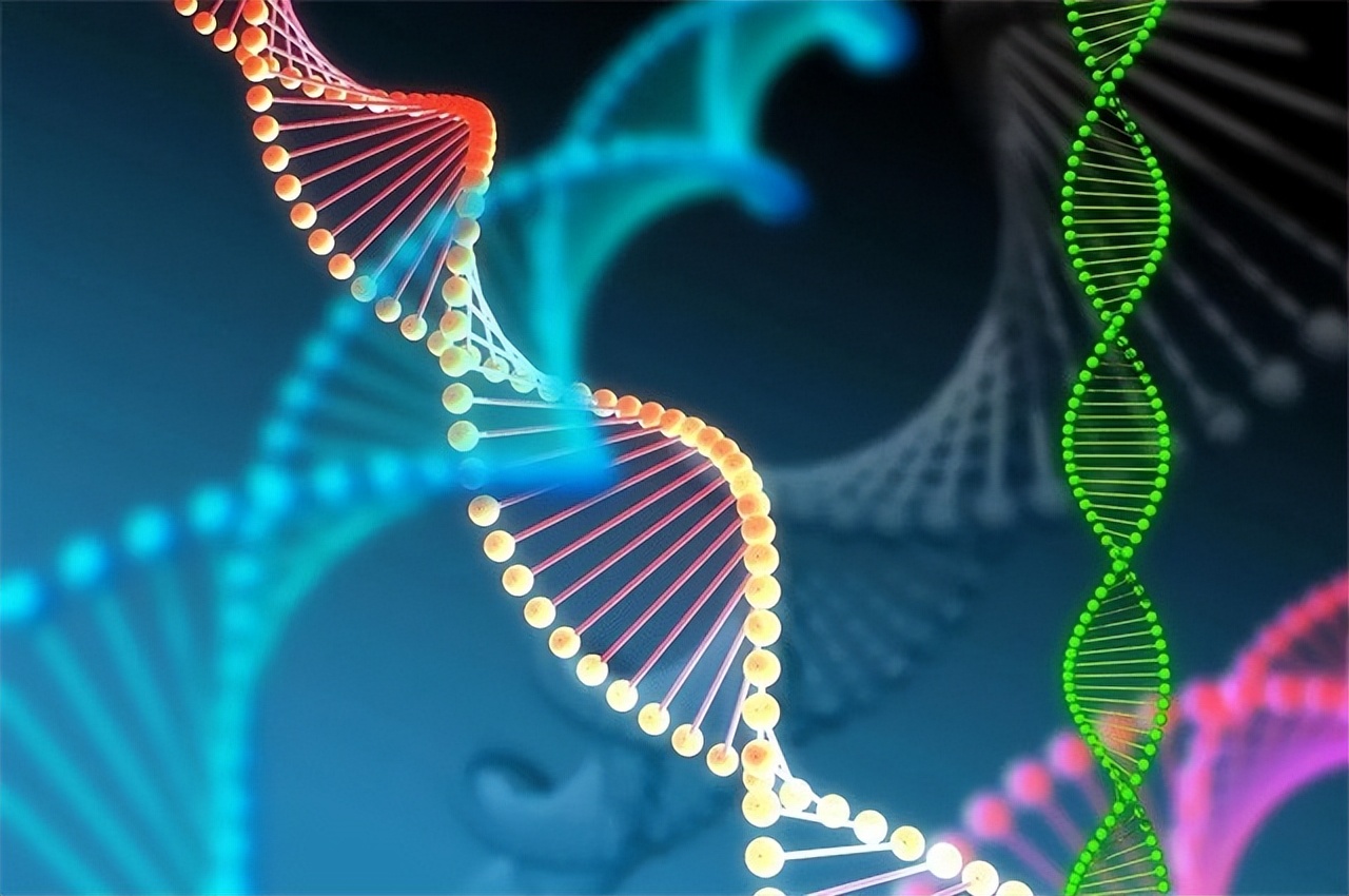 日本死刑犯的最后一天,日本行刑前死刑犯不会挣扎吗