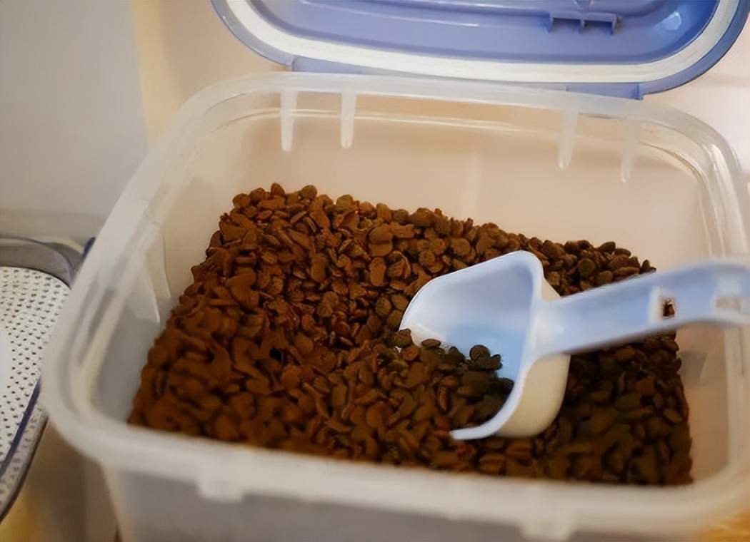 猫粮怎么储存不会潮,猫粮大袋装怎么保存