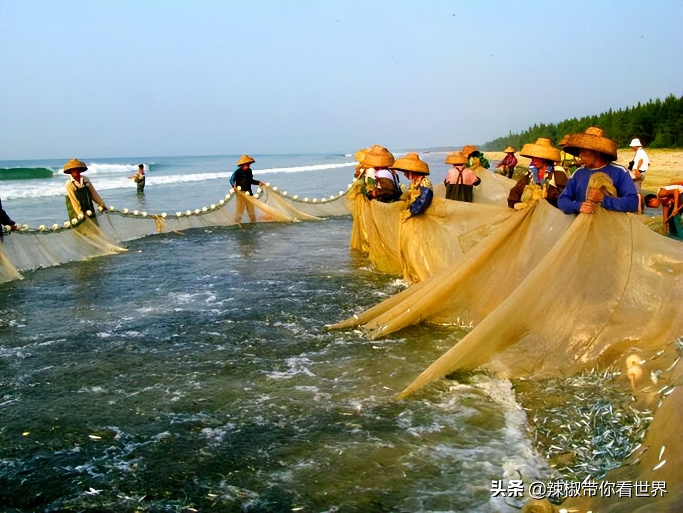 海岸线：邂逅*江阳**——感受这座慢节奏小城文化底蕴感悟人文之美