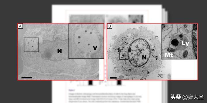 加湿器严选好物,在网上买的加湿器翻车现场