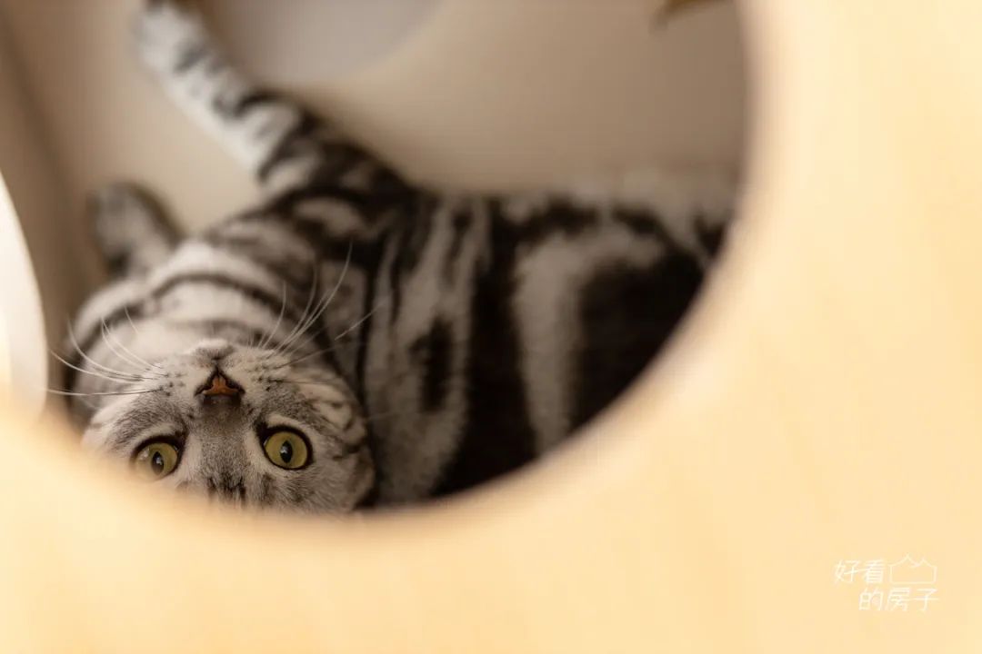 好看的房子里面家具,好看的房子还有一些细节