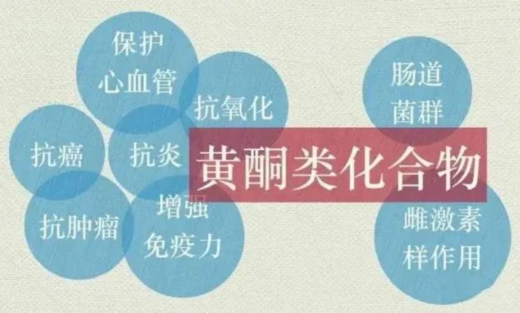 什么植物黄酮含量高,植物黄酮类有哪些物质