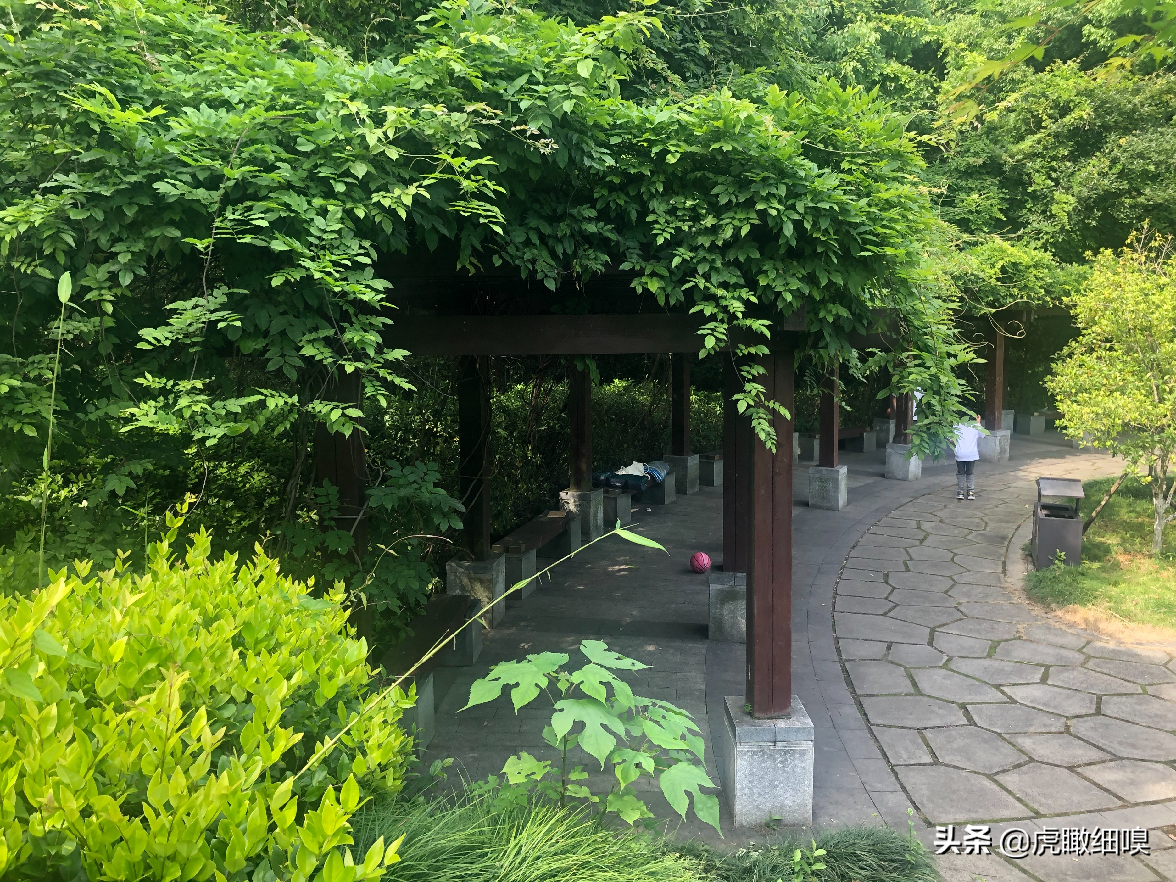 杭州冠山风景,杭州滨江区冠山公园