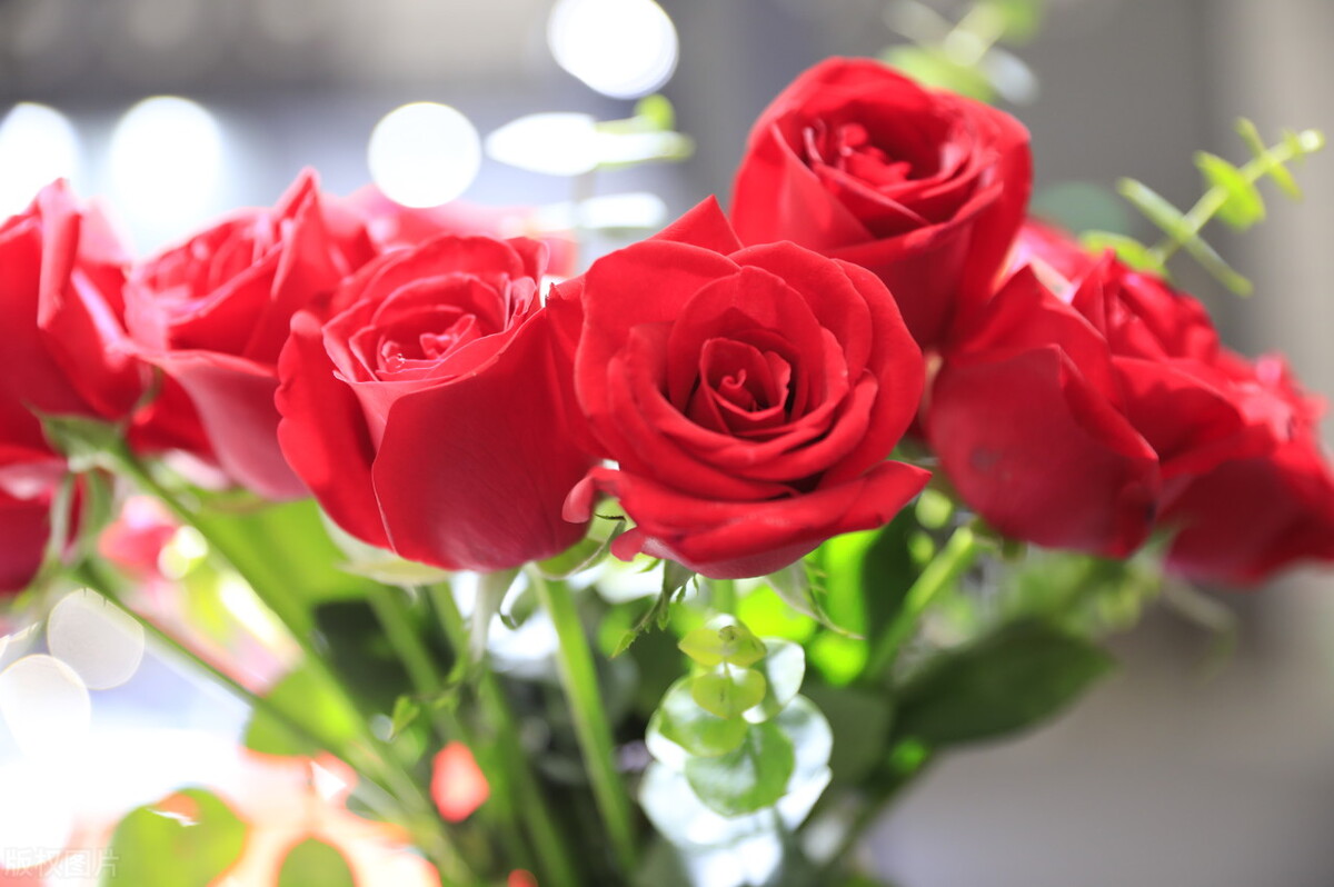 情人节送花避坑攻略,情人节除了送花还可以送什么