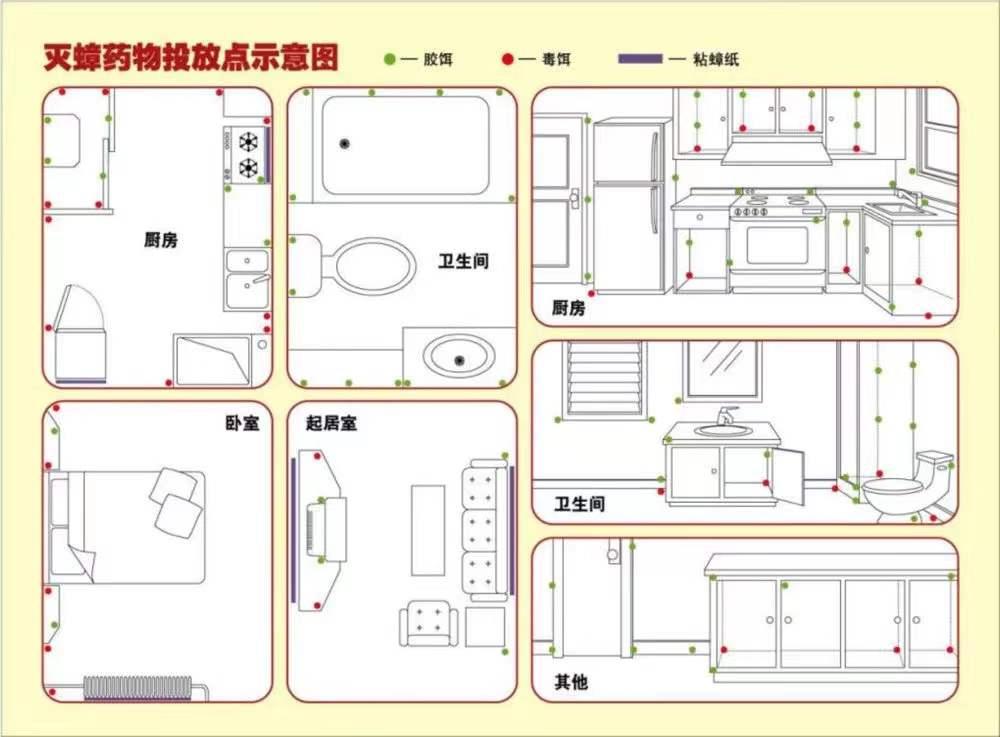简易灭蟑法,目前最好的灭蟑药